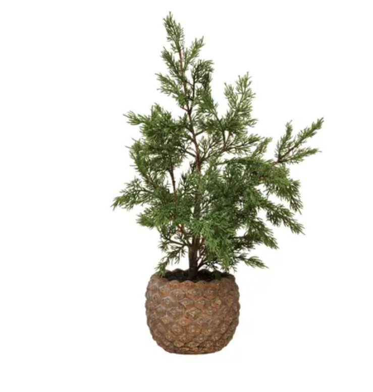 Faux Hinoki Cypress Tree in Pinecone Shaped Cement Pot, Distressed Finish