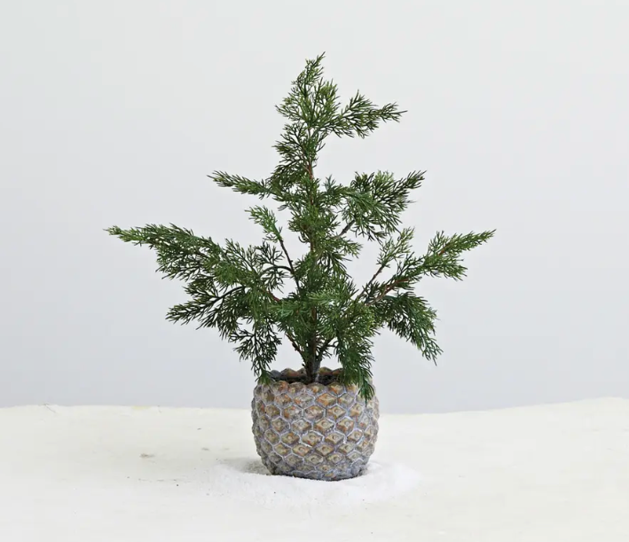Faux Hinoki Cypress Tree in Pinecone Shaped Cement Pot, Distressed Finish